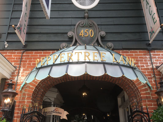 Peppertree Lane Dimensional Letter Sign by Landmark Signs Inc.