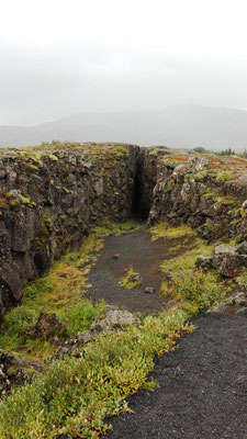 Kontinentalplattendrift auf Island