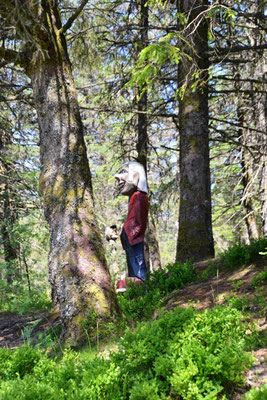 Trollwald auf dem Floyen