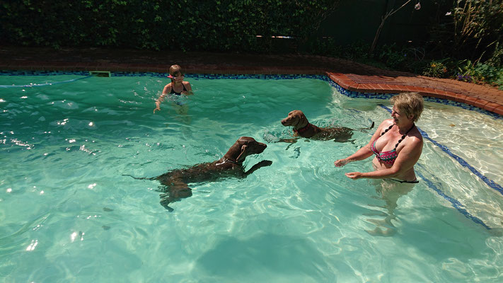 Planschen im Pool