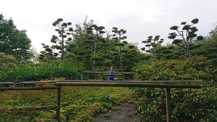 Besuch im botanischen Garten
