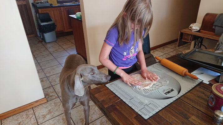 Kritische Beobachter beim Hundekekse backen