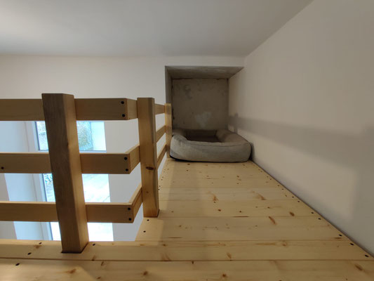 Hochebene Hochbett Hundeplatz Hundebett 
