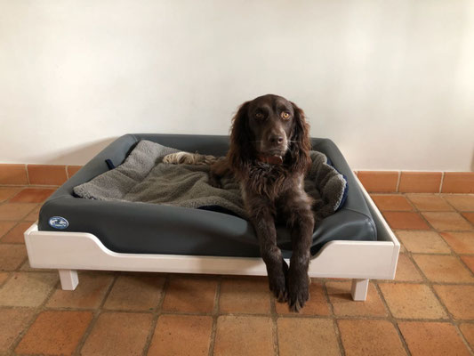 Hundebett Tierbetten, minimalistisch weiß