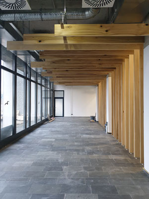 Raumteiler aus whitewood, Kanada, Bohlen von Boden zur Decke und in versch. Längen zur Fensterfront
