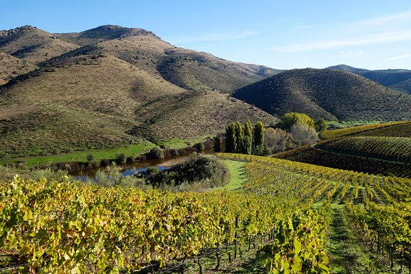 velký kontrast: obdělaná půda s vinicemi a ještě nedotčená krajina