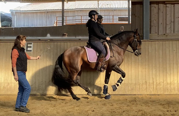 Sandokan in der Piaffe im Unterricht bei Esra Ruhland - Reiten in Balance