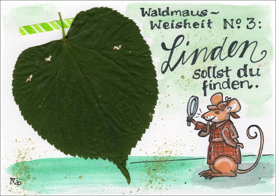 022 Waldmaus 3 / Linden