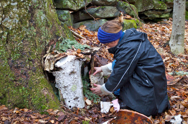 An Antioch University student building a fairy house in White-Rock Woods.