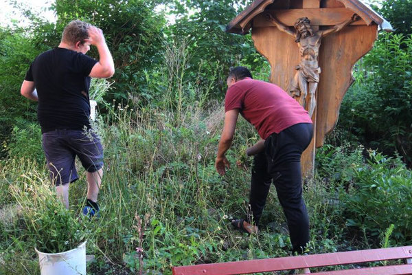 Vor dem Fest wird der Garten herausgeputzt.