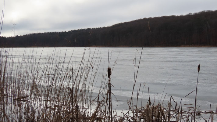 Der Wolgastsee noch im Winterkleid / ©Bernd Schirmeister
