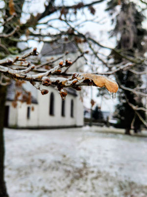 Umhüllt von Eis / ©Jana Freitag
