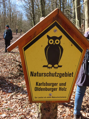 Dann ging es hinein in den Wald, wobei sich die Exkursion auf den Oldenburger Teil des NSG erstreckte