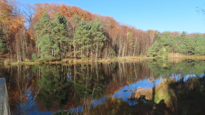Am Mümmelkensee