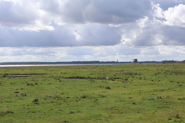 Blick zum Aussichtsturm / ©Jana Freitag