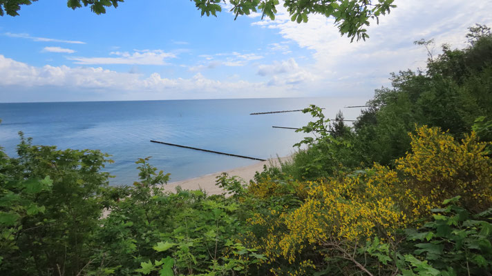 Aussicht auf die Ostsee / ©Bernd Schirmeister
