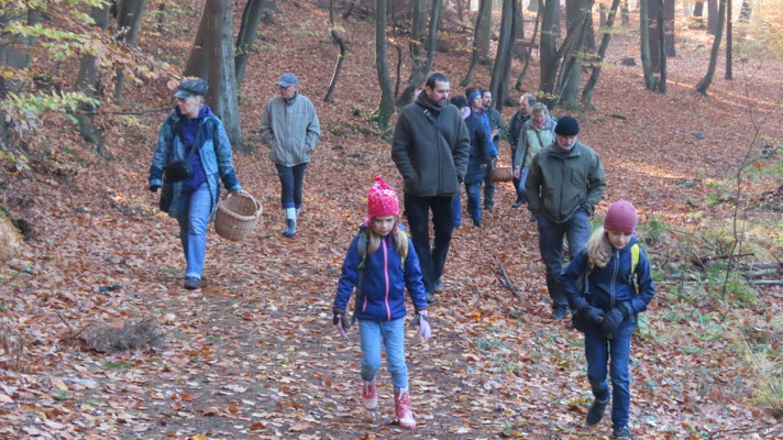 Immer fleißig Ausschau halten