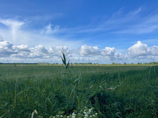 Weitblick / ©Marisa Kaster
