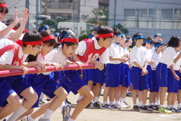 中学3年生 綱取り 8本の綱を早く 多く自分の陣地へもっていく競技 複数の縄を取り合う体力と状況判断が必要 一対一の勝負が 気が付けば助けが入り団体戦に変わり 最後の綱は全員 東京都立両国高等学校 附属中学校 後援会 公式サイト