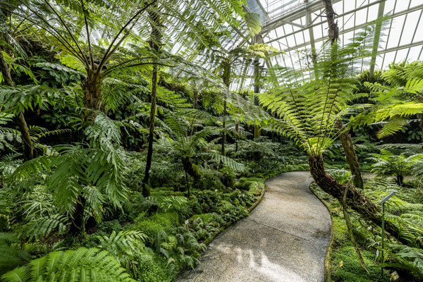 Botanischer Garten Berlin Heiko Probst Fotografie