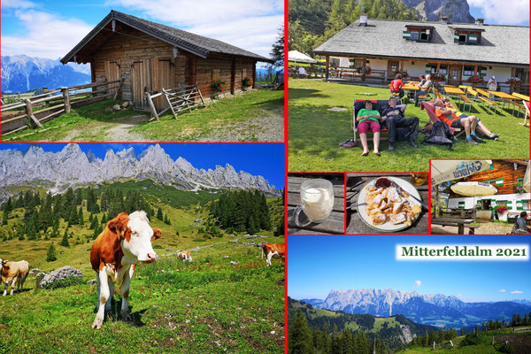 Mitterfeldalm auf dem Hochkönig