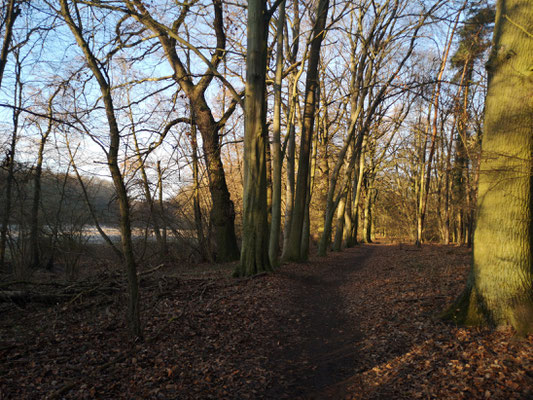 Natur im Erpetal4 (bei Berlin)