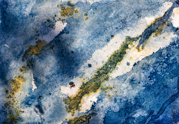 Variation 7