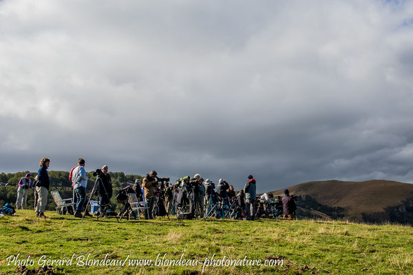 Spotters en attente des oiseaux