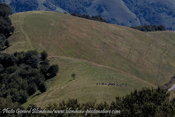 Col d'Organbidexka avec ligne de spotters en attente des oiseaux