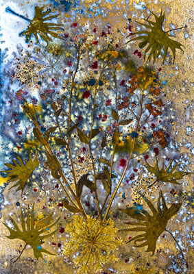 Explosion florale