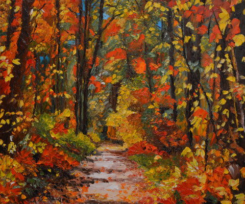 Sentier forestier - 55x46 cm - SKOBFR1F10 - Indisponible  