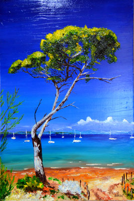Baie à Porquerolles - 81x54 cm - SKOPRV30M25 - Disponible