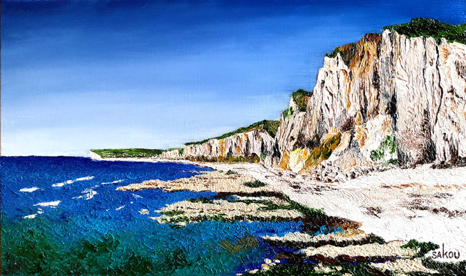 Falaise des cotes du Nord - 55X33 cm - SKOCAO6M10 - Disponible