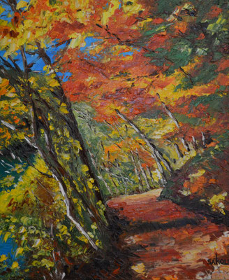 Chemin en sous-bois  - 46x38 cm - SKOBFR2F8 - Disponible 