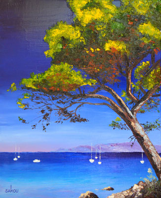 Un coin du Var - 61x50 cm - SKOPRV29F12 - Disponible