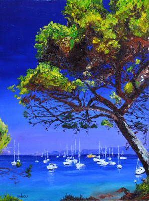 Ile de Porquerolles - 61x46 cm - SKOPRV28P12 - Indisponible 