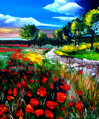 Coquelicots dans la clairière - 55x46 cm - SKOBFR15F10 - Disponible