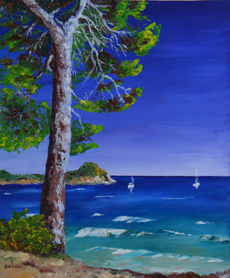 Porquerolles, pin solitaire sur la plage - 55x46 cm - SKOPRV27F10 - Disponible 