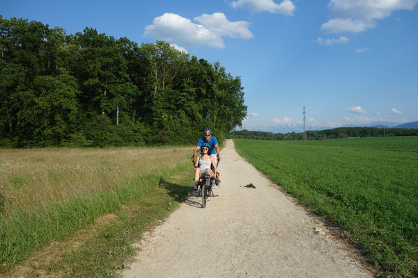 Dans la campagne genevoise