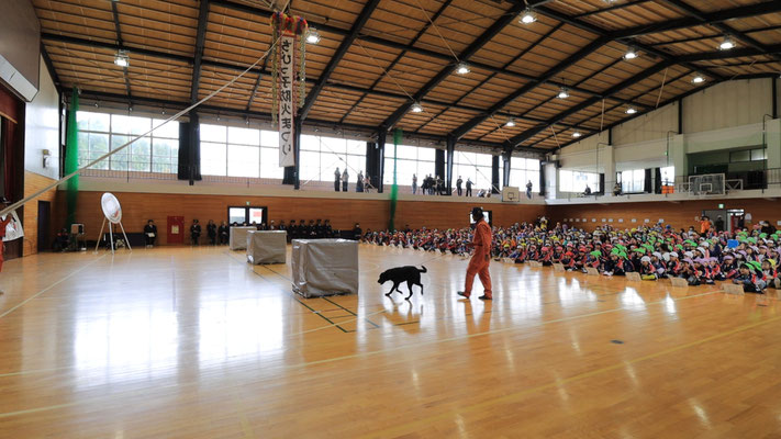 救助犬が隠れた人の呼気を探知していきます
