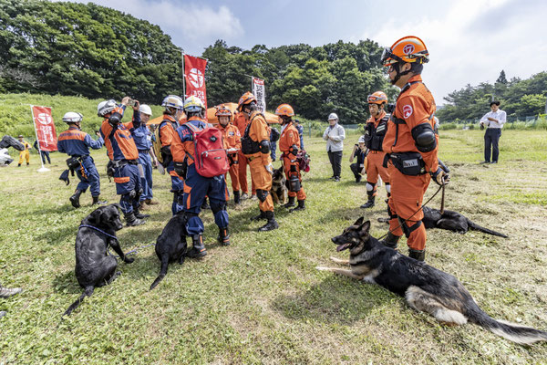 災害救助犬が現地でそれぞれの特性を考慮しチーム分け