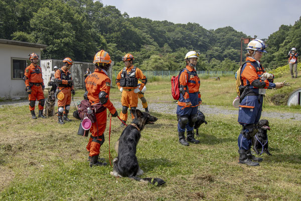 災害救助犬が現地本部に到着