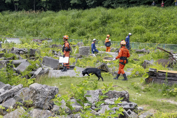 救助犬チームに救助機関が同行し安全確認・本部との連絡を行う
