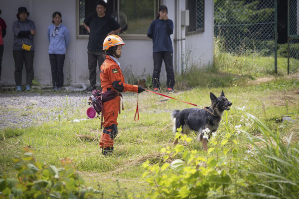 現地本部の方針に沿ってチーム毎に捜索（DRDN)