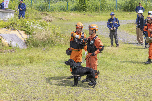 現地本部の方針に沿ってチーム毎に捜索（SDF)