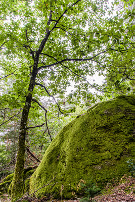 Site tellurique Rocher Combeau  (63)