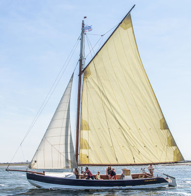 Sardinier sur le bassin d'Arcachon