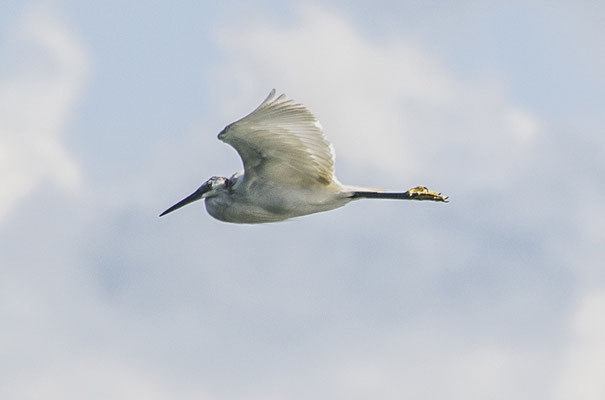 Aérodynamique