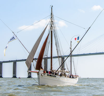 Débord de Loire NANTES Parade de bateaux typiques et anciens