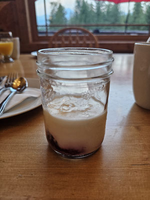 Blaubeeren im selbstgemachten Joghurt